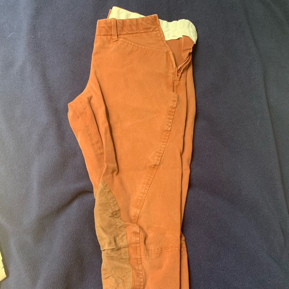 Rust colored breeches